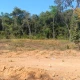 Foto 7: Bairro Jardins 