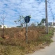 Foto 7: LOTE BAIRRO LAGOA PARK
